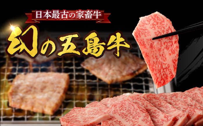 【全6回定期便】 五島牛 サーロインステーキ 約200g×3枚 / 和牛 牛肉 長崎和牛