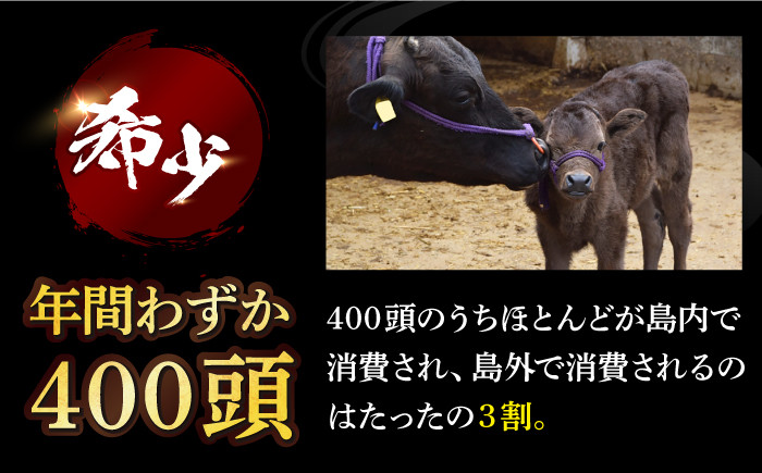 【全12回定期便】五島牛 サーロインステーキ 約200g×3枚 / 和牛 牛肉 長崎和牛