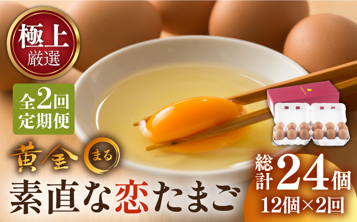 たまご ギフト 卵  新鮮 栄養豊富 濃厚 話題のたまご 贈答用 高級