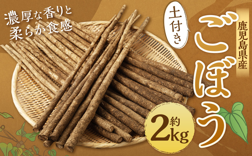 鹿児島県産 土付きごぼう 約2kg