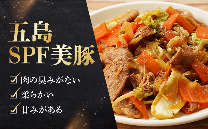 にく 豚肉 国産 長崎県 長崎県産 ながさき 長崎 味付き 簡単 簡単調理 五島 美豚 冷凍 下味 おかず 加工品 