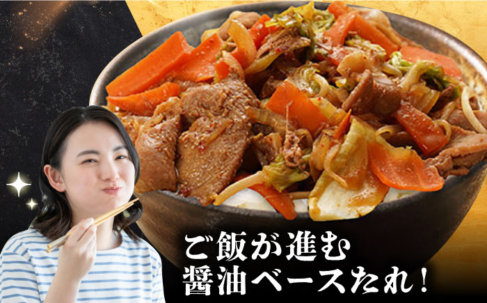 にく 豚肉 国産 長崎県 長崎県産 ながさき 長崎 味付き 簡単 簡単調理 五島 美豚 冷凍 下味 おかず 加工品 
