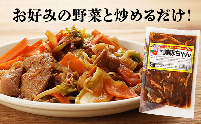 にく 豚肉 国産 長崎県 長崎県産 ながさき 長崎 味付き 簡単 簡単調理 五島 美豚 冷凍 下味 おかず 加工品 