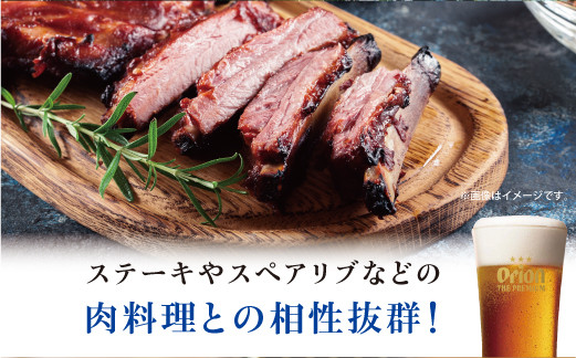 肉料理との相性抜群！ |オリオンビール | 沖縄県 宜野湾市 送料無料