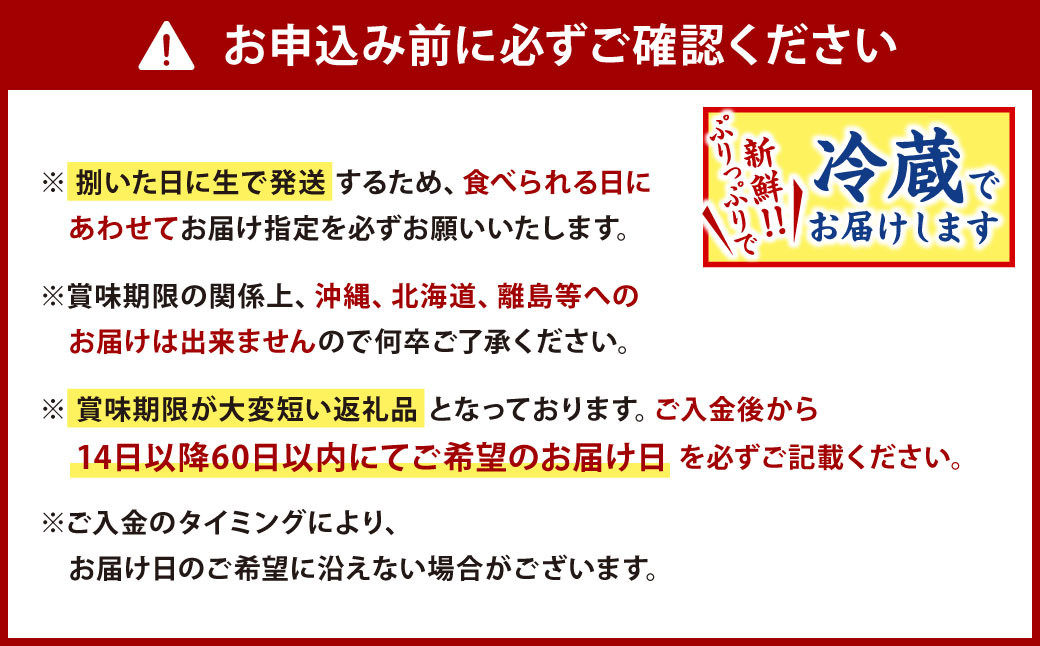 【配送日指定必須】とらふぐ刺身・ふぐ鍋セット白子付き(4～5人前)