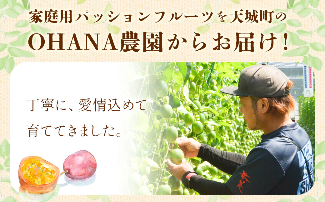  徳之島 天城町 パッションフルーツ2kg(家庭用)
