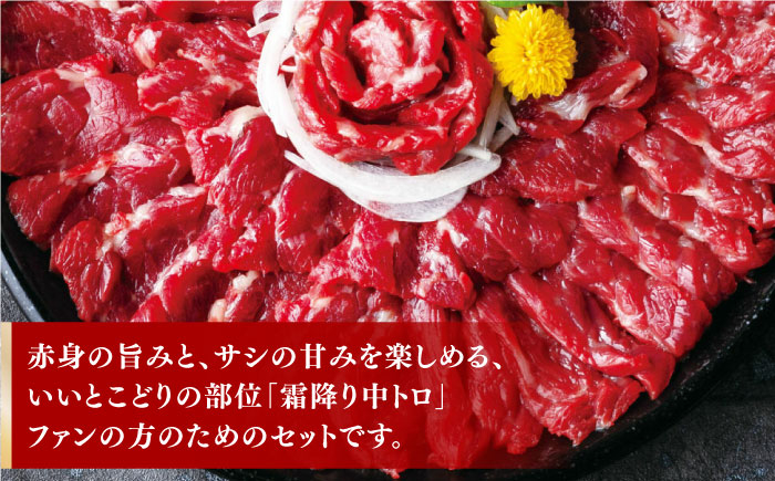 霜降り中トロ馬刺し 計500g 熊本 馬刺し 専用醤油付き 霜降り 中トロ サシ ばさし バサシ 馬刺 山鹿市 おつまみ 小分け