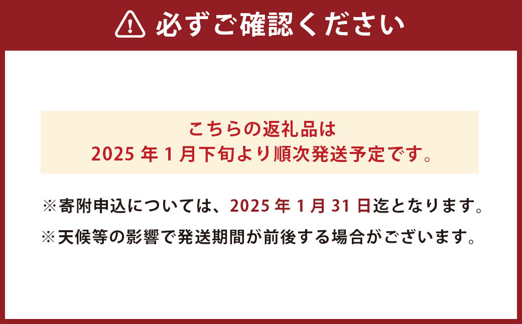 わくわくするおれんじセット