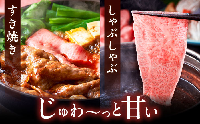 10回定期便A4ランク以上 博多和牛 肩ロース薄切り 500g