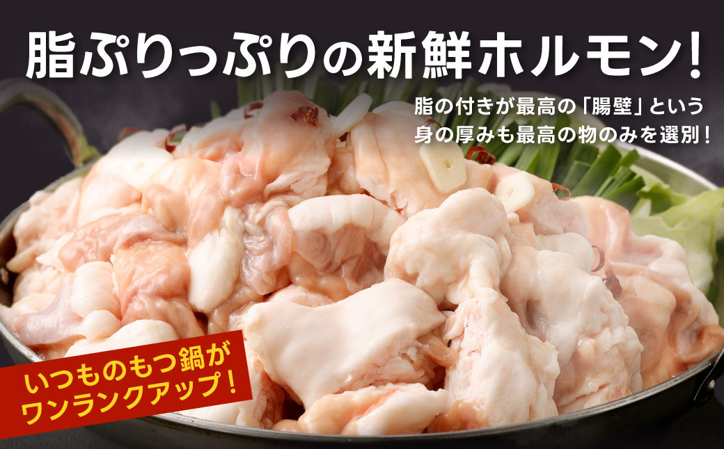 ぶりぶり ホルモン 1本 もつ鍋 厚腸編 1kg入り
