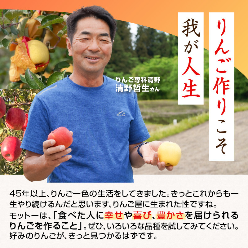 《先行受付》家庭用 雪蔵貯蔵 サンふじ 約5kg【2026年4月上旬頃～発送予定 冷蔵お届け】【山形りんご・りんご専科 清野】