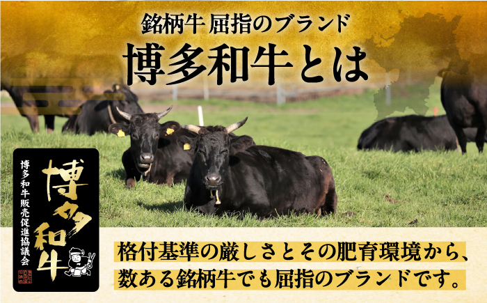博多和牛 食べ比べ ステーキ ( サーロイン /  ヒレ /  シャトーブリアン ) 毎月200g×4枚