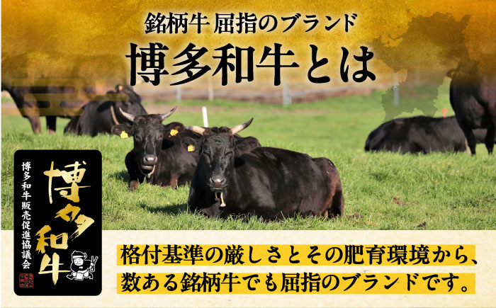 10回定期便 A4 博多和牛 肩ロース薄切り 1kg