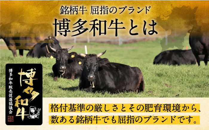 6回定期便博多和牛100%!本格 手ごね ハンバーグ 6個