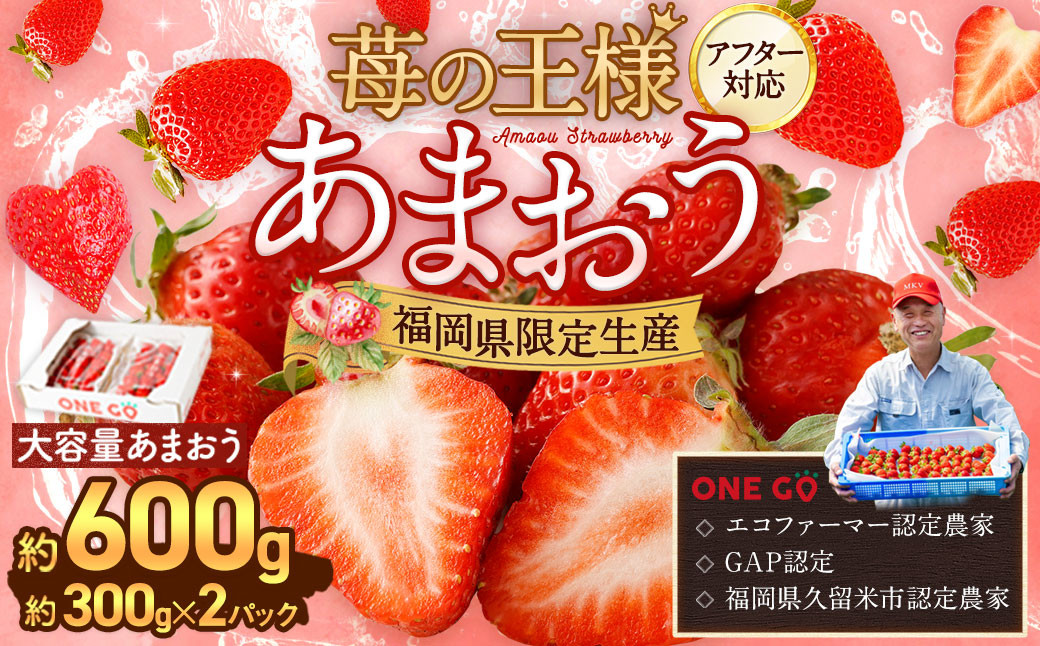 【予約受付】【2026年1月上旬～3月下旬発送予定】大容量あまおう 600g