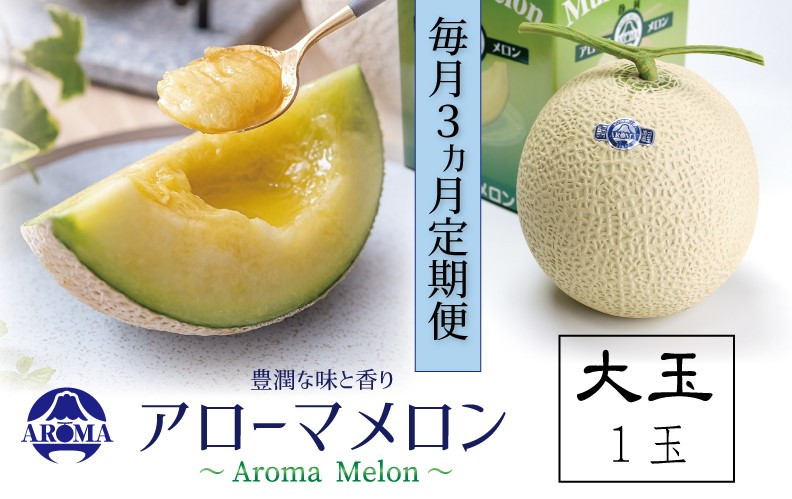 【3ヶ月定期便】静岡県産高級 アローマメロン 白等級 大玉 1玉 約4.5kg以上 化粧箱入