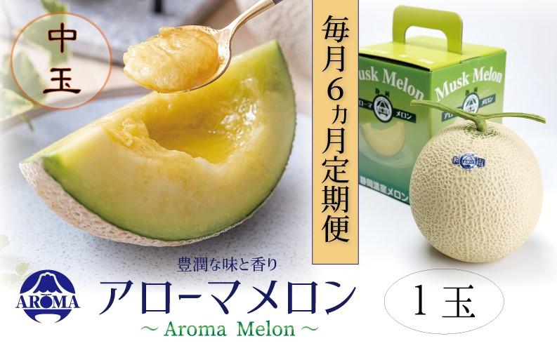 【6ヶ月定期便】静岡県産高級 アローマメロン 白等級 中玉 1玉 約7.8kg以上 化粧箱入