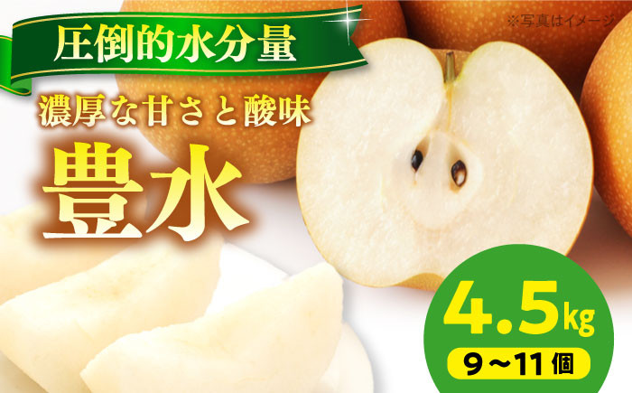 食品 果物 フルーツ おやつ デザート 梨 なし ナシ 豊水 ジュース スムージー プレゼント 贈答