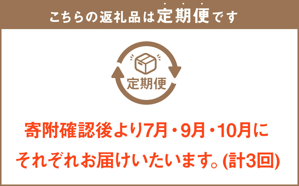 【3回定期便】岡山県産 フルーツ定期便コース （白桃・ニューピオーネ・晴王）