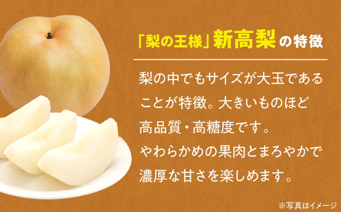 食品 果物 フルーツ おやつ デザート 梨 なし ナシ 新高 ジュース スムージー 贈答品 ギフト プレゼント