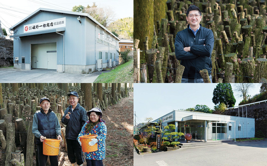 大分県産 家庭用 どんこ 約560g（約80g×7袋） FDN30