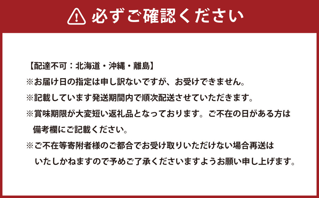 【3回定期便】岡山県産 シャインマスカット 晴王 計約3.6kg 2房（1房600g以上）×3回