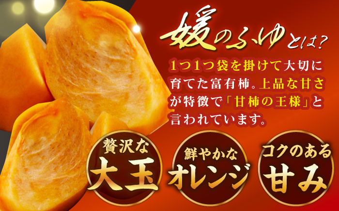 有袋富有柿「媛のふゆ」　2Lサイズ 約3㎏箱入（12玉入り）