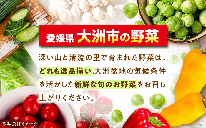 【野菜セット】根菜+旬野菜 詰め合わせ