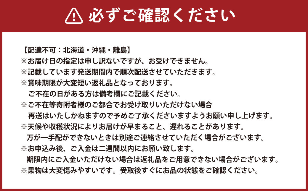 【6回定期便】岡山県産 フルーツ定期便コース