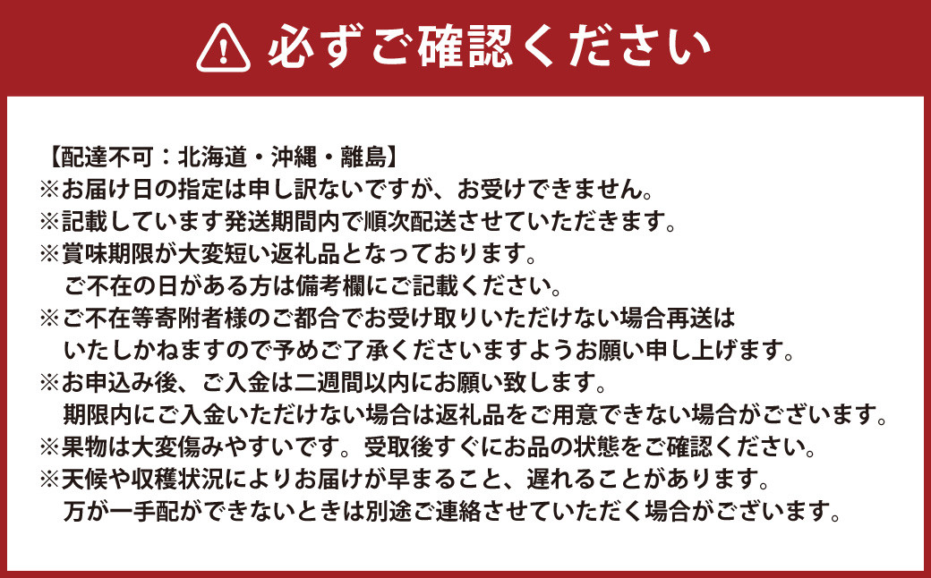 【5回定期便】 岡山県産 フルーツ定期便コース