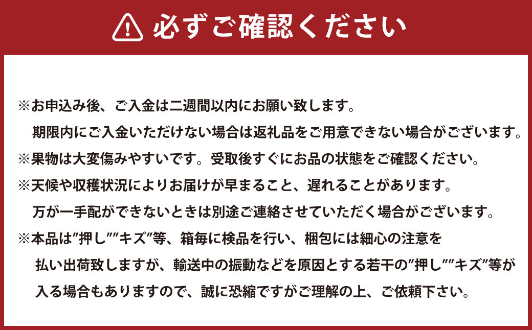 【3回定期便】岡山県産 シャインマスカット 晴王 計約3.6kg 2房（1房600g以上）×3回