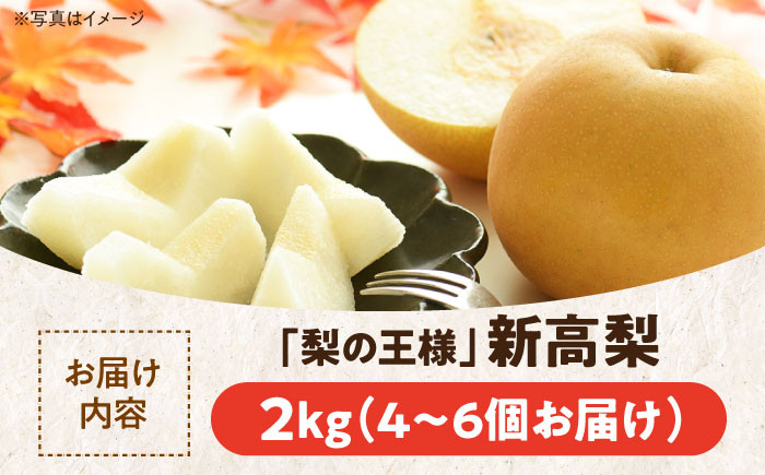 食品 果物 フルーツ おやつ デザート 梨 なし ナシ 新高 ジュース スムージー  贈答品 ギフト プレゼント