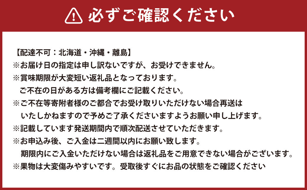 【3回定期便】岡山県産 フルーツ定期便コース （白桃・ニューピオーネ・晴王）