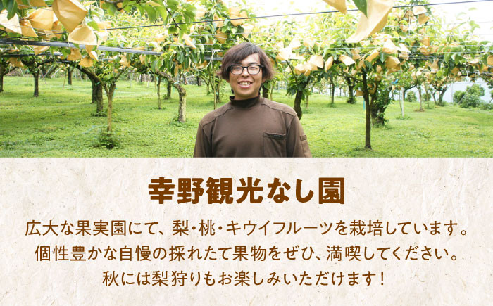 食品 果物 フルーツ おやつ デザート 梨 なし ナシ 新高 ジュース スムージー  贈答品 ギフト プレゼント