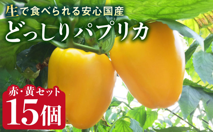 野菜 やさい パプリカ ピーマン 肉厚 生 ピクルス マリネ 肉詰め