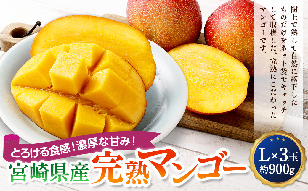 ＜宮崎県産完熟マンゴー L×3玉（約900g）＞