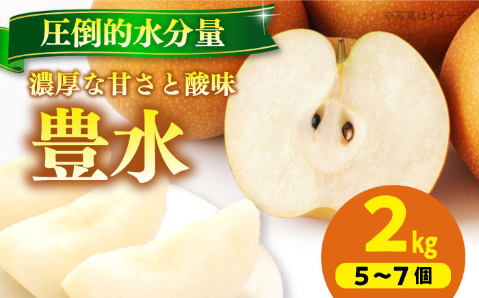 食品 果物 フルーツ おやつ デザート 梨 なし ナシ 豊水 ジュース スムージー プレゼント 贈答