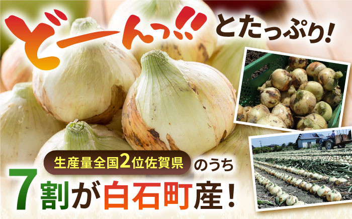 白石産 玉ねぎ 約20kg