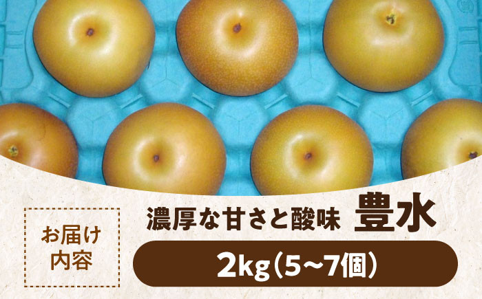 食品 果物 フルーツ おやつ デザート 梨 なし ナシ 豊水 ジュース スムージー プレゼント 贈答