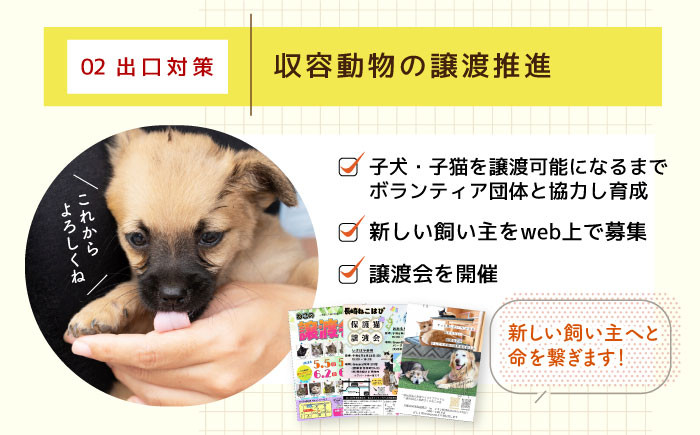 長崎  動物 犬 猫 いぬ ねこ イヌ ネコ 保護犬 保護猫 支援 応援  寄付のみ 5000円