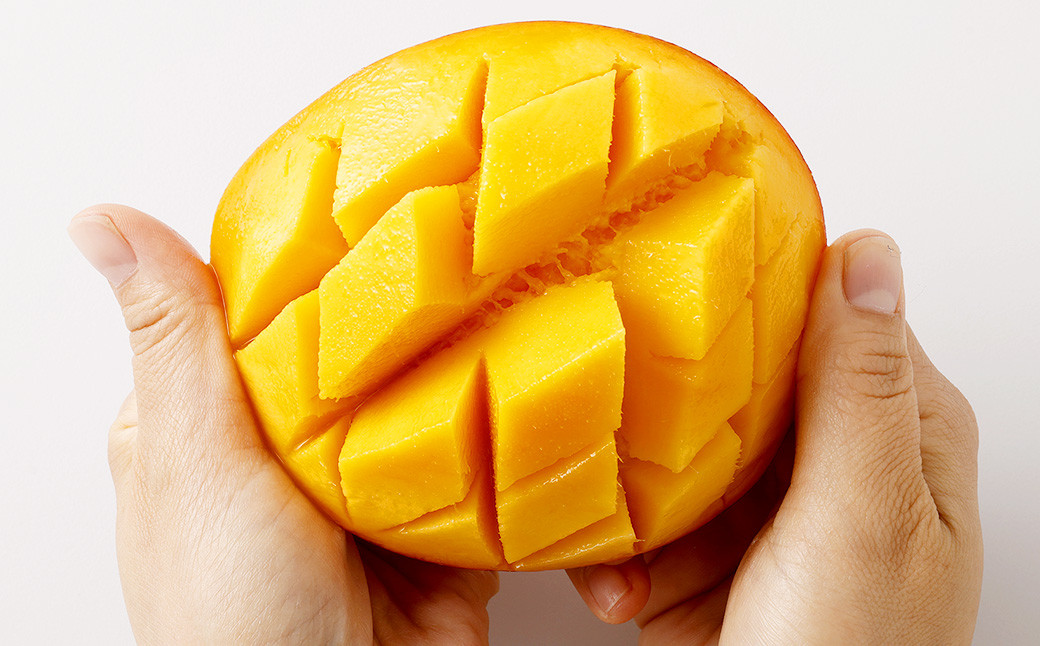 ＜宮崎県産完熟マンゴー 2L×3玉（約1kg）＞