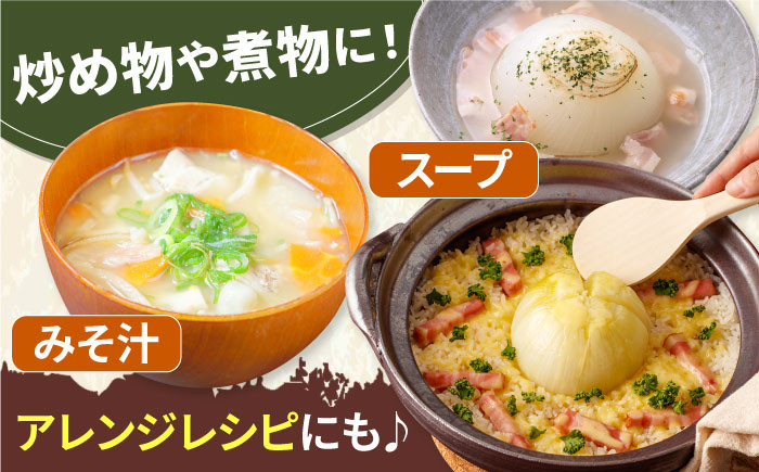 白石産たまねぎ 約10kg