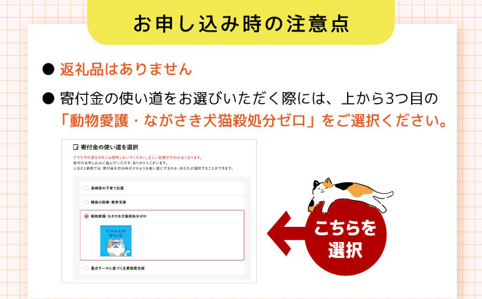 長崎  動物 犬 猫 いぬ ねこ イヌ ネコ 保護犬 保護猫 支援 応援  寄付のみ 5000円