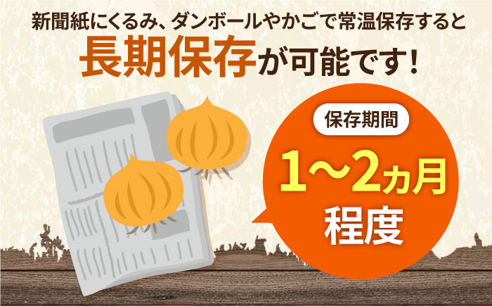 白石産たまねぎ 約10kg