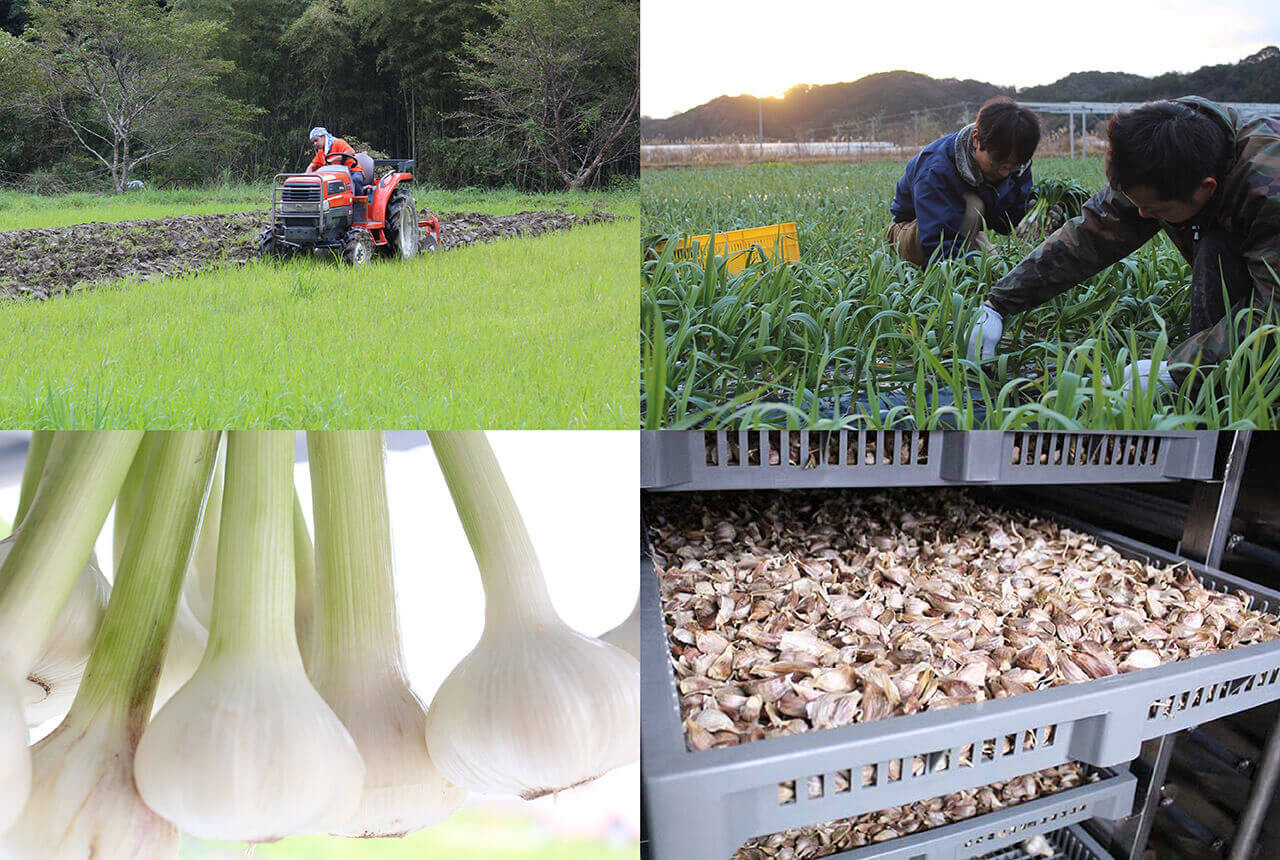 自社のオーガニック農園及び加工場は有機JASを取得しています。農薬や化学肥料不使用・無添加で一つ一つ丹精を込めて作っています。