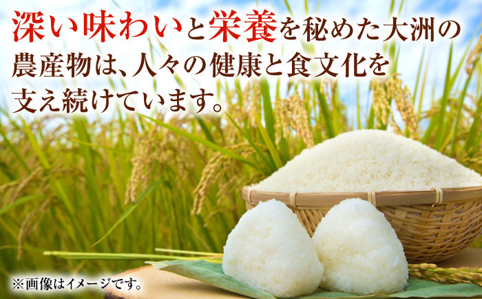 お米 ご飯 おにぎり ごはん 白米 野菜 和食 おコメ 納豆 日本食 おこめ 国産 精米 10kg にこまる 大洲市産 安心