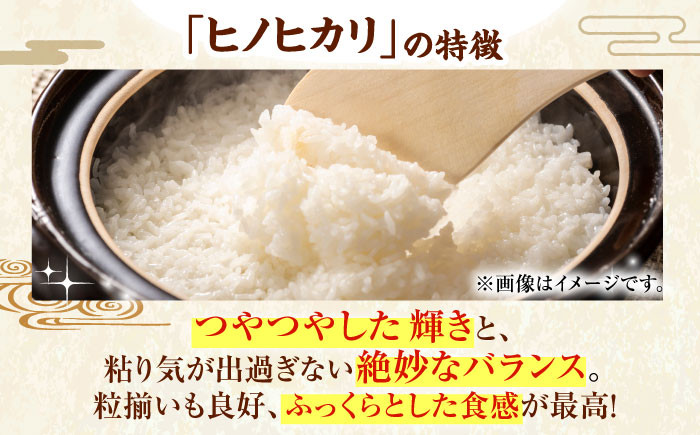 米 お米 ご飯 白米 精米 ヒノヒカリ ブランド米 おにぎり お弁当 寿司 すし 炊き込みご飯 納豆 卵かけごはん 国産10kg