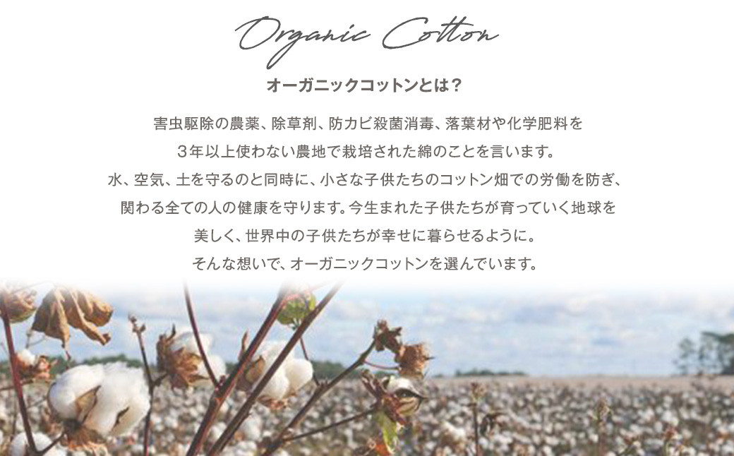 【リバーシブル：さくらねずみ×生成】麻の葉 アフガン リバーシブル さくらねずみ×生成 CO-K21-8100 布 おくるみ
