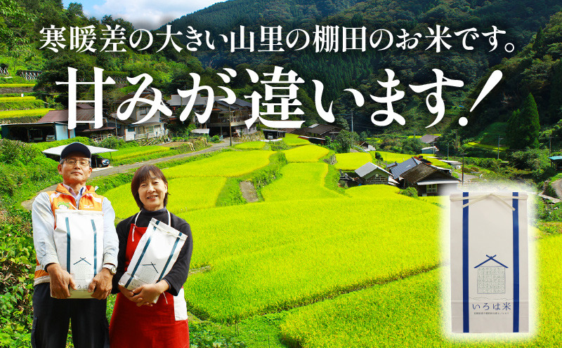 【定期便】宮崎県高千穂町[秋元産］いろは米　棚田米　白米　新米　ひのひかり　5㎏×12ヶ月　合計60kg　T-2