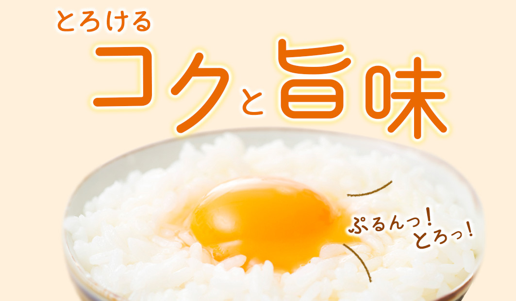 【3回定期便】霧島山麓育ち こだわり卵『康卵』 30個入り×3回 合計90個